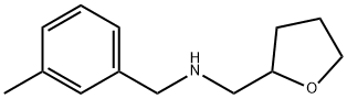 (3-METHYL-BENZYL)-(TETRAHYDRO-FURAN-2-YLMETHYL)-AMINE Struktur