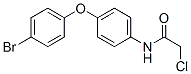 N-[4-(4-BROMOPHENOXY)PHENYL]-2-CHLOROACETAMIDE Struktur