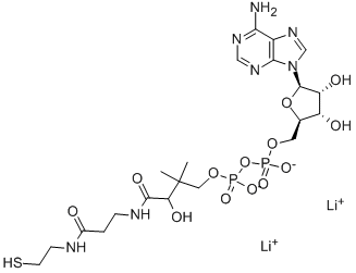 3'-DEPHOSPHOCOENZYME A Struktur