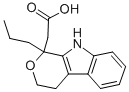 Prodolic Struktur