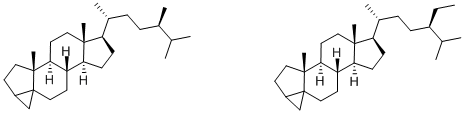 (24R)-24-METHYL-3,5-CYCLOCHOLESTANE AND (24R)-24-ETHYL-3,5-CYCLOCHOLESTANE Struktur