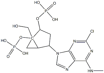 MRS 2279 Struktur