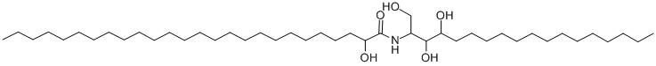 CEREBRINE Struktur