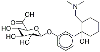 O-Desmethyl Tramadol β-D-Glucuronide Struktur