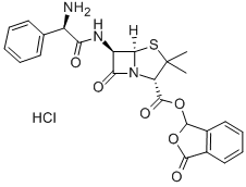 Talampicillin hydrochloride price.