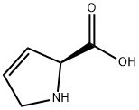 3,4-Dehydro-L-proline Struktur