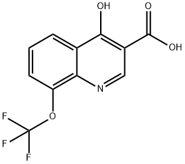 4-Hydroxy-8-trifluoromethoxyquinoline-3-carboxylic acid Struktur