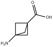 Bicyclo[1.1.1]pentane-1-carboxylic acid, 3-amino- (9CI) Struktur