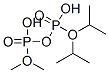 Diphosphoric acid P1,P1-dimethyl P2,P2-bis(1-methylethyl) ester Struktur