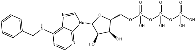 N-BENZYLADENOSINE TRIPHOSPHATE, TRIETHYLAMMONIUM SALT Struktur