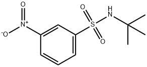 N-T-BUTYL 3-NITROBENZENESULFONAMIDE