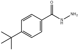 4-tert-Butylbenzhydrazide