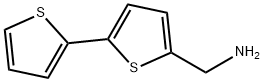 2,2'-BITHIOPHENE-5-METHYLAMINE Struktur