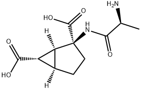 TALAGLUMETAD Struktur