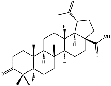 Betulonicacid Struktur