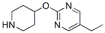 Pyrimidine, 5-ethyl-2-(4-piperidinyloxy)- (9CI) Struktur