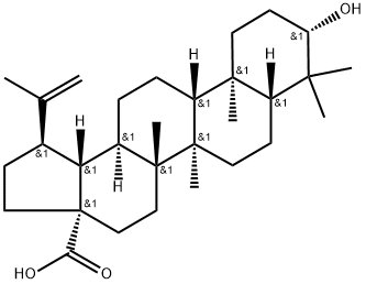 Betulinic acid  price.