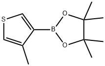 4-メチルチオフェン-3-ボロン酸ピナコールエステル 化學構造式