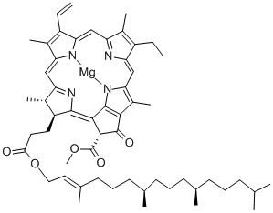 Chlorophyll A Struktur