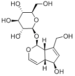 桃葉珊瑚苷