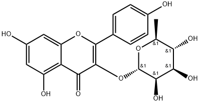 Afzelin Struktur