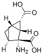 Tricyclo[2.2.1.02,6]heptane-1,3-dicarboxylic acid, 3-amino-, (1R,2R,3R,4S,6S)- Struktur