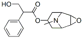 Scopolamin