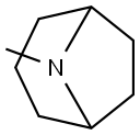 8-METHYL-8-AZABICYCLO[3.2.1]OCTANE Struktur