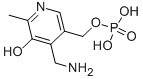 PYRIDOXAMINE-5'-PHOSPHATE