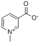 TRIGONELLINE Structure