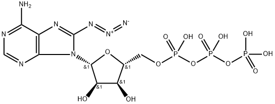 8-AZIDOADENOSINE 5'-TRIPHOSPHATE, SODIUM SALT