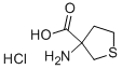 3-AMINO-TETRAHYDRO-THIOPHENE-3-CARBOXYLIC ACID HYDROCHLORIDE Struktur