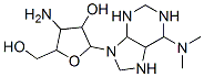 3-Amino-5-[6-(dimethylamino)octahydro-9H-purin-9-yl]tetrahydro-4-hydroxy-2-furanmethanol Struktur