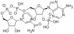 BETA-NAADP SODIUM SALT Struktur