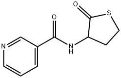 homocysteine-thiolactone-nicotinamide Struktur