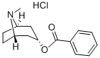 ENDO-TROPACOCAINE (8-METHYL-8-AZABICYCLO[3.2.1]OCT-3-YL) BENZOATE HCL
 Struktur