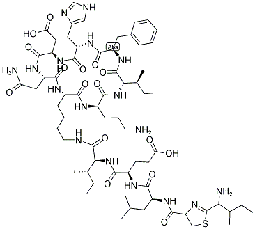 BACITRACIN Struktur