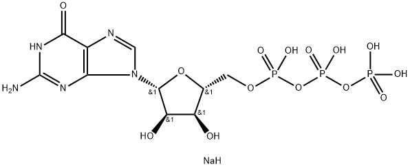 Guanosine-5'-triphosphoric aicd disodium salt price.