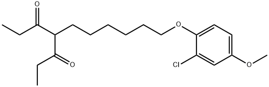 arildone Struktur