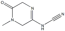 Cyanamide, (3,4,5,6-tetrahydro-4-methyl-5-oxopyrazinyl)- (9CI) Struktur