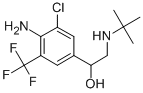 MABUTEROL