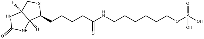 1H-Thieno[3,4-d]iMidazole-4-pentanaMide, hexahydro-2-oxo-N-[6-(phosphonooxy)hexyl]-, (3aS,4S,6aR)- Struktur