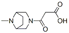 3-(Carboxyacetyl)-8-methyl-3,8-diazabicyclo[3.2.1]octane Struktur