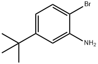 2-broMo-5-tert-butylaniline Struktur