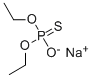 SODIUM O,O-DIETHYLTHIOPHOSPHATE