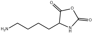 4-(4-aminobutyl)oxazolidine-2,5-dione Struktur