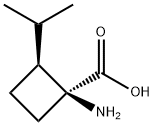 Cyclobutanecarboxylic acid, 1-amino-2-(1-methylethyl)-, (1S,2S)- (9CI) Struktur