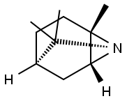 1-Azatricyclo[3.2.1.02,7]octane,2,8,8-trimethyl-,(1S,2S,5R,7R)-(9CI) Struktur