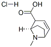 (1R)-8-methyl-8-azabicyclo[3.2.1]oct-3-ene-2-carboxylic acid hydrochloride  Struktur