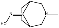 3-Azabicyclo[3.2.1]octan-8-one,3-methyl-,oxime(9CI) Struktur